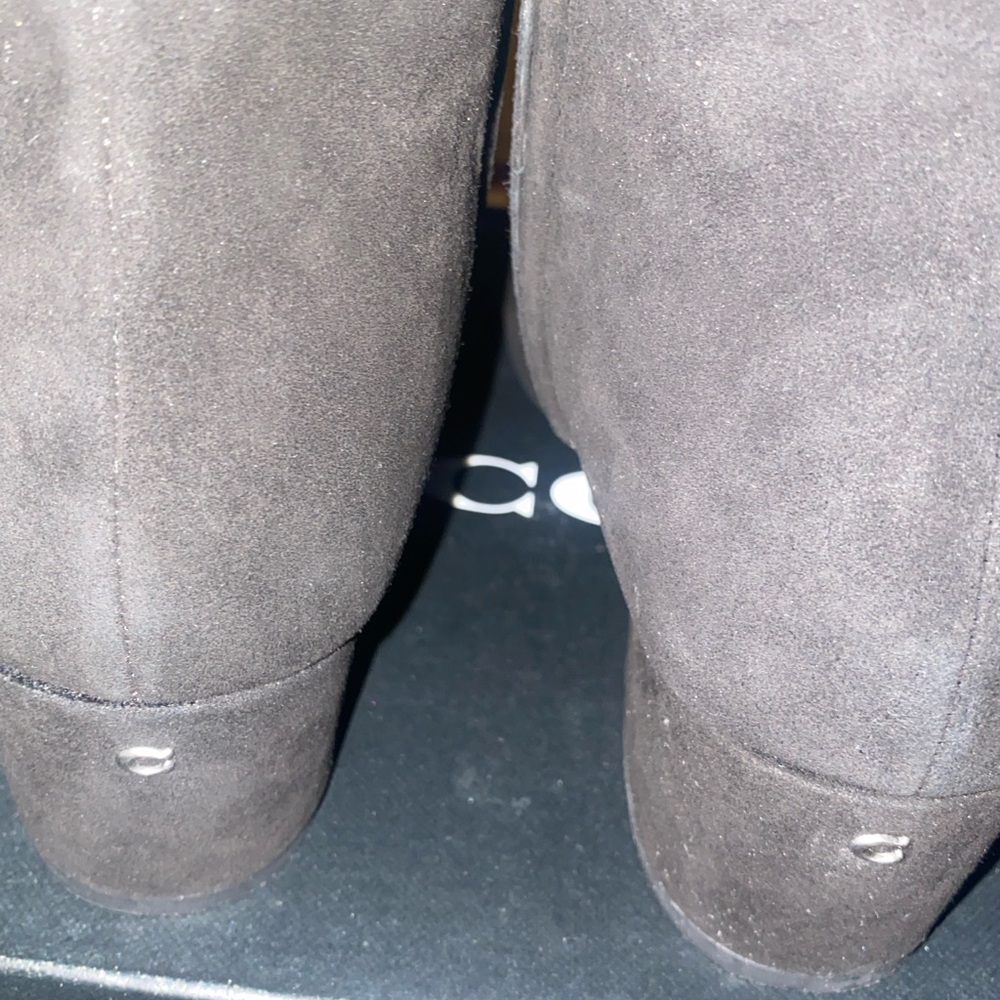Coach Black Ankle Booties with side buckle and Suede Finish - Picture 6 of 12